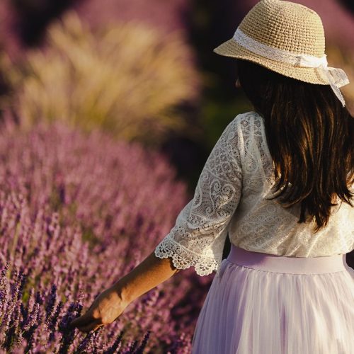 Provence : Ensaio de 2H